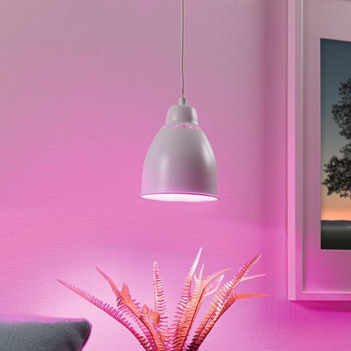 Immagine prodotto Paulmann Hilla Neordica (E27)