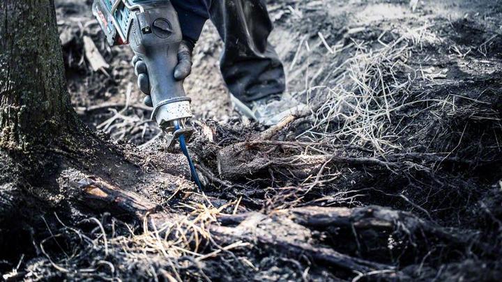 Immagine prodotto Bosch Professional Zubehör Lama per sega alternativa EXPERT 'Tough Wood' S 1142 KHM, 3 pezzi