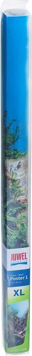 Immagine prodotto Juwel Aquarium Foto copertina posteriore 1 stampata su entrambi i lati (Pannello posteriore, altre voci)