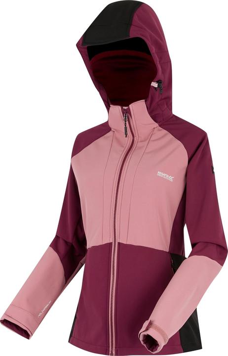 Actual product image Regatta Desoto Softshell (44, XL)