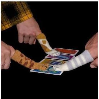 Produktbild Fisch Katz ENGLISCH (Englisch, 2 - 6 Spieler)