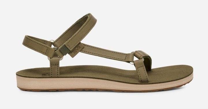 Burnt Olive