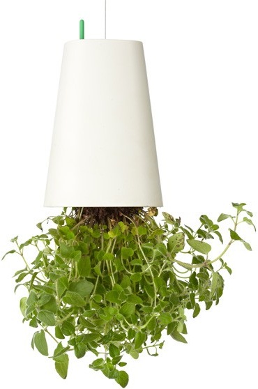 boskke Sky Planter Small