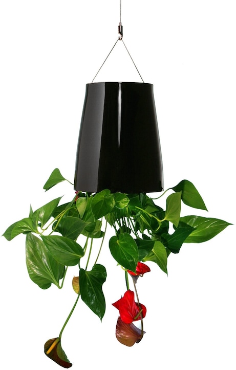 boskke Sky Planter Ceramic Medium (20 cm)