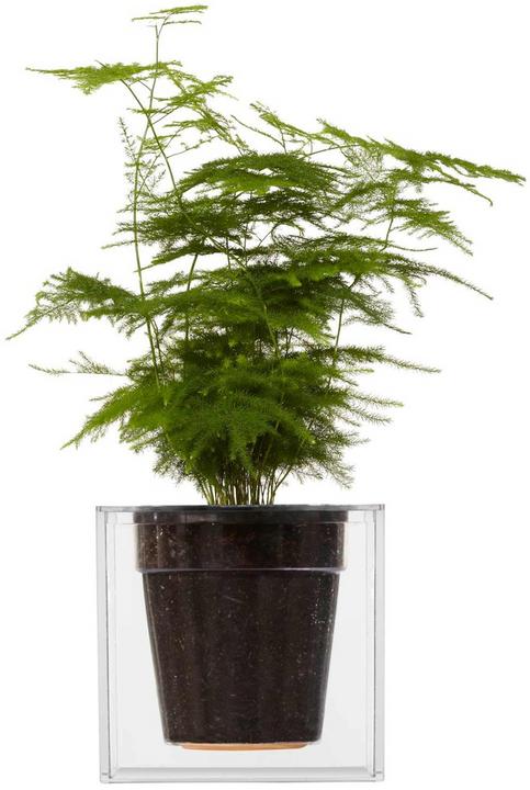 Produktbild boskke Cube Small (12.20 cm)