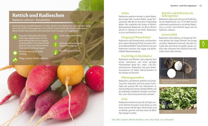 Produktbild Bio-Gemüse-Ratgeber (Gemüsesamen)