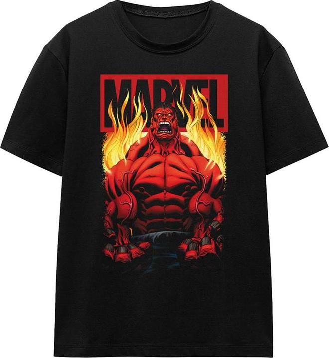 Produktbild TShirt (XXL)