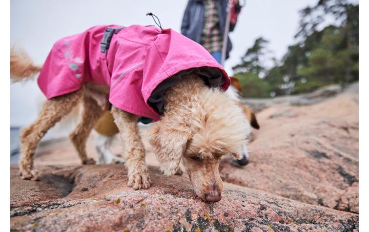Actual product image Hurtta Monsoon V2 Eco Pink mackintosh, 35 cm (35, Dog coat)