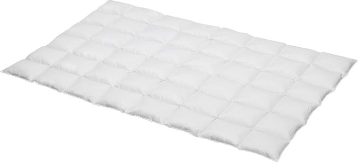 Immagine prodotto Erwin Müller Vancouver (200 x 220 cm)