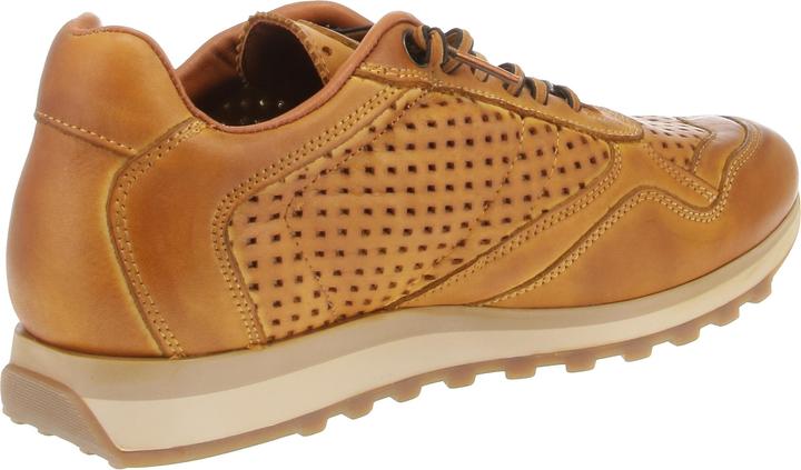 Produktbild Cetti C-848 EXP INV25 (46)