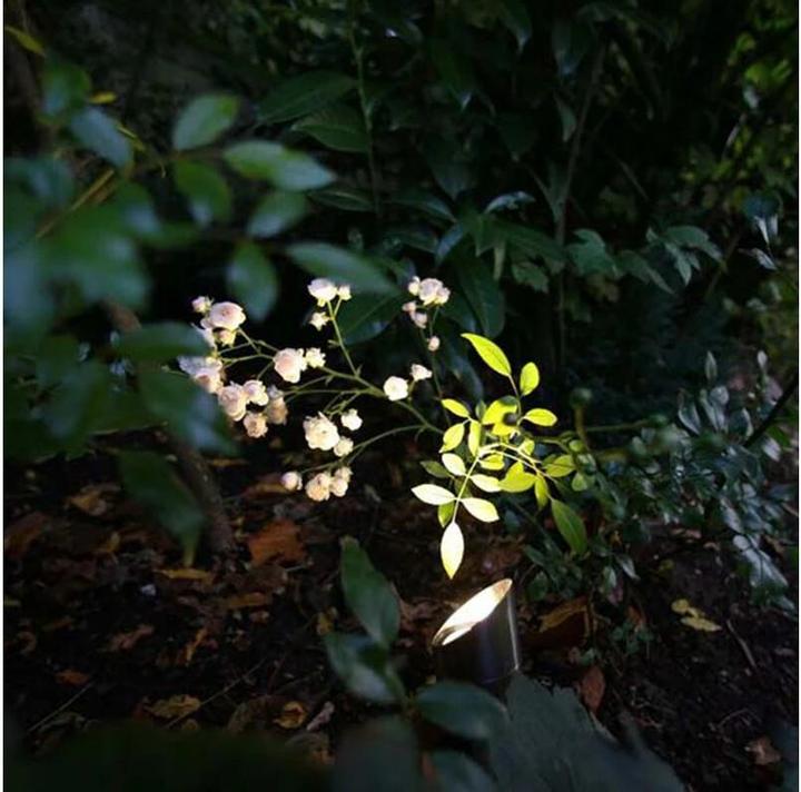 Image du produit Schego Spot