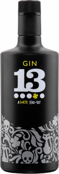 Produktbild Gin 13 Dry Gin