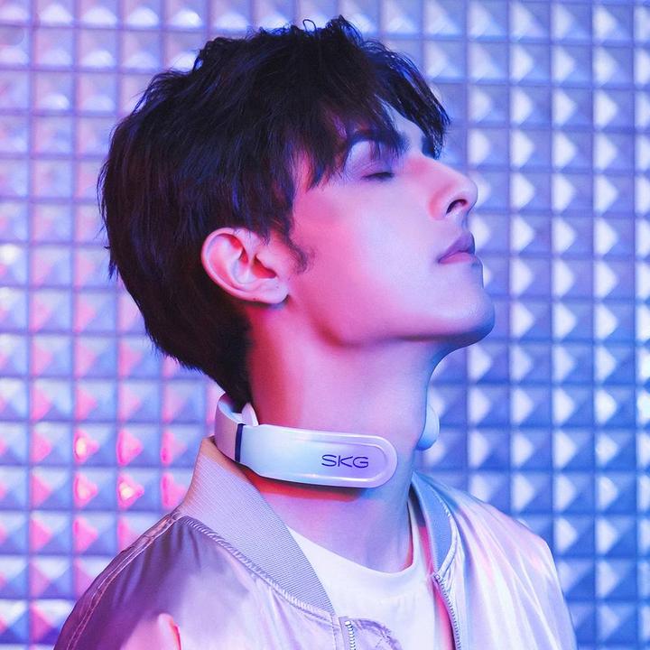 Immagine prodotto SKG Massaggiatore per il collo