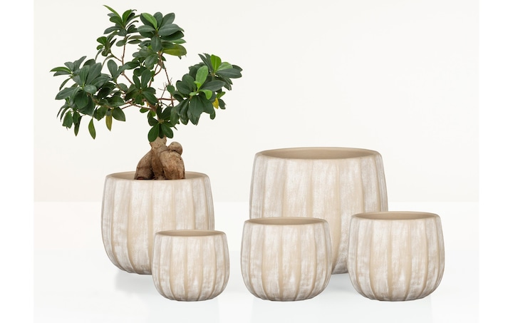 Produktbild Scheurich Runa (25.50 cm)