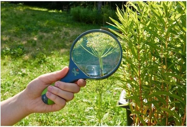 Produktbild Haba Terra Kids Lupe