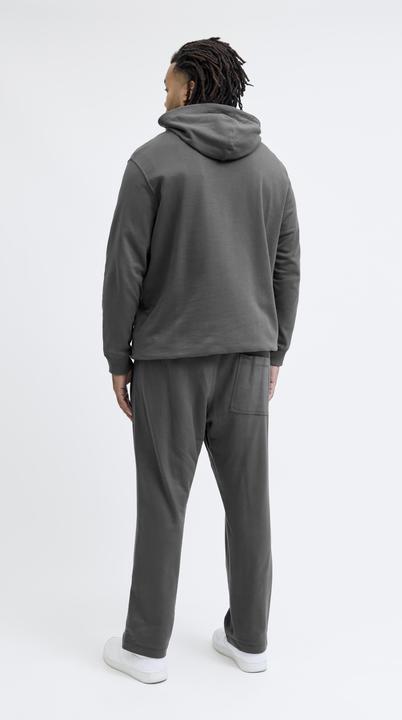 Actual product image Jack & Jones Plus Size Relaxed Fit Relaxed Fit Hosen Relaxed Fit Hosen (44)