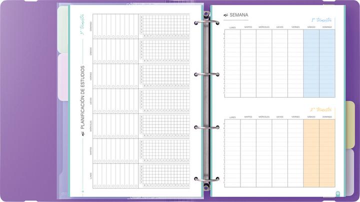 Produktbild Carchivo Ringbuch mit Inhalt Carpeblock 360 (A4, 40 mm)
