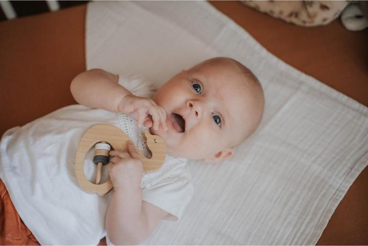 Produktbild Tryco Baby Rassel Schwan