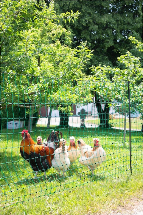 Actual product image AKO Poultry net