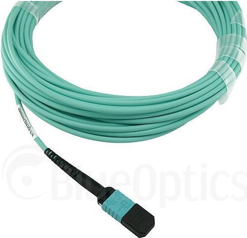 Actual product image BlueOptics NetApp X66200-3 compatible MPO-MPO multimode OM3 patch cable 3 metres (3 m)