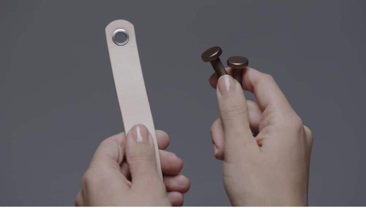 Produktbild Electrolux Dekor Set Soft Birch zu Well A7 und A5 (1x)