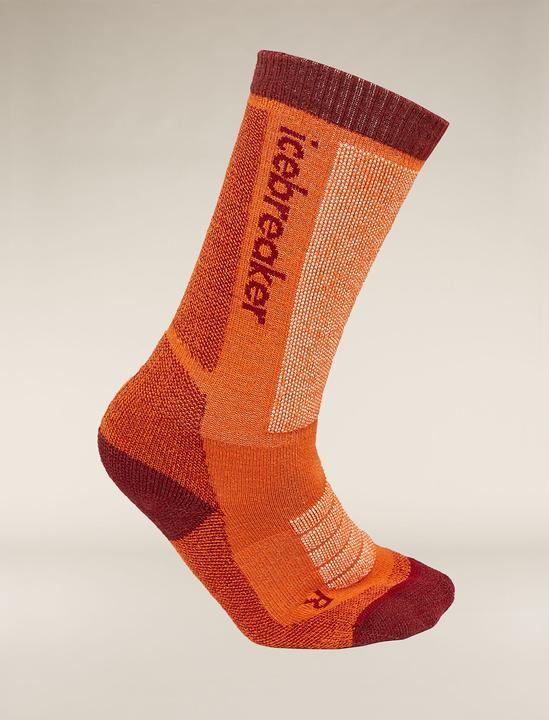 Immagine prodotto Icebreaker Bambini Merino Ski+ Medium OTC (27 - 29)