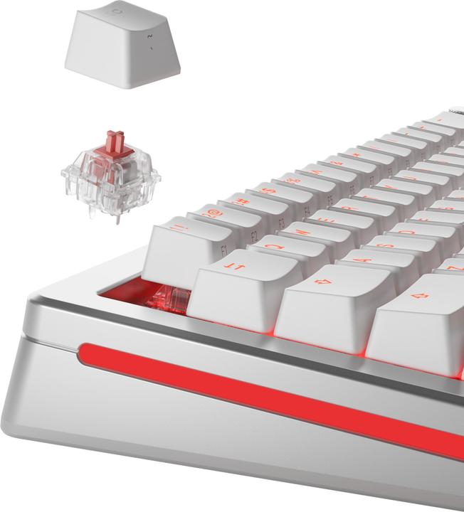 Produktbild Glorious Mechanical Switches (110pcs) - Fox - Ultralight (Linear) 30g