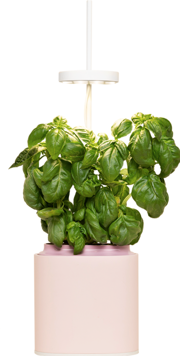 Produktbild Prêt à Pousser Kräutertopf Nano (13.50 cm)