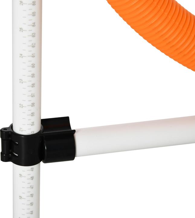 Actual product image PawHut Pet training set including bag (Agility)