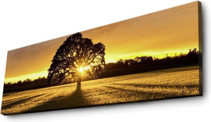 Wallxpert Keira (30 x 90 cm)