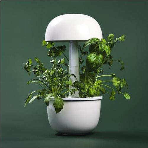 Produktbild Plantui Smart Garden 3e (Keimlinge)