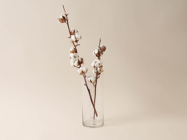 Actual product image Esmée glass vase
