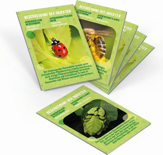 Actual product image Clementoni Meine mobile Insekten-Station