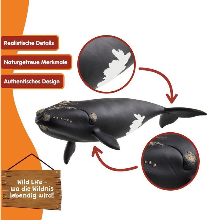 Actual product image Schleich Nordatlantischer Glattwal