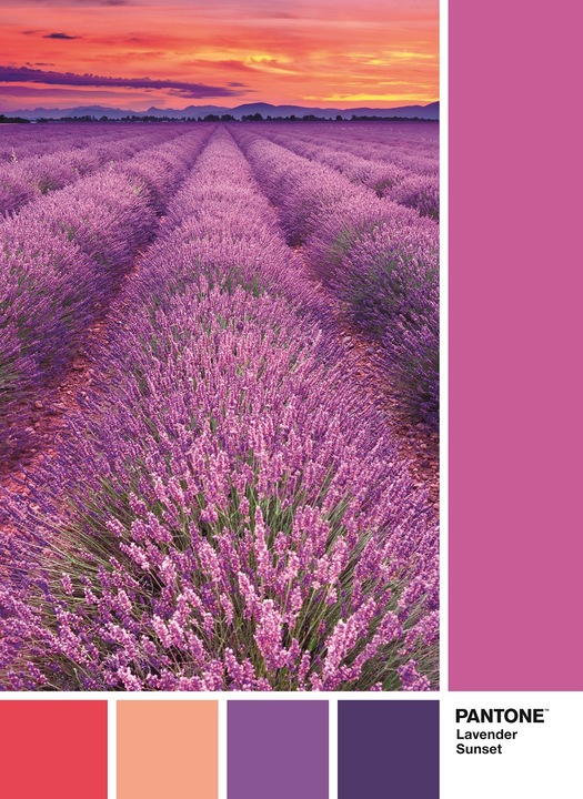 Immagine prodotto Clementoni PUZZLE 1000 PANTONE Vivid Viola (1000 pezzi)