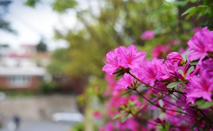 Produktbild Rokinon 35mm F1.4 AS UMC Wide Angle Cine Lens for Sony E-Mount (NEX) (RK35M-E) (Sony E, APS-C / DX)