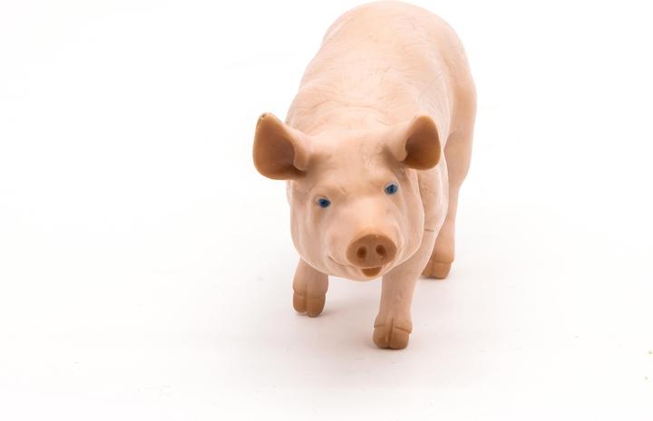 Image du produit Papo Sanglier