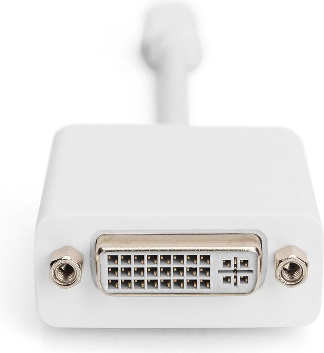Produktbild Digitus DP Adapterk.,miniDP/DVI 0.15m (DVI, 20 cm)
