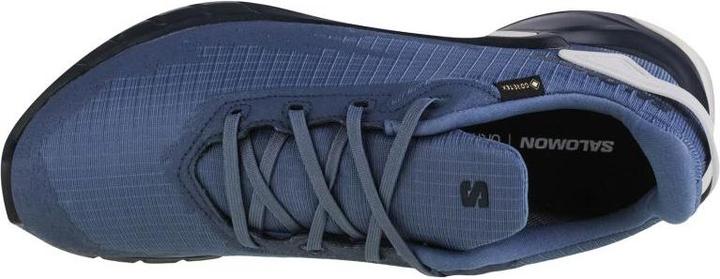 Image du produit Salomon Alphacross 4 GTX - 57153 (44)