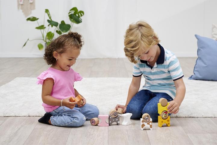 Actual product image Eichhorn Stacking game farm