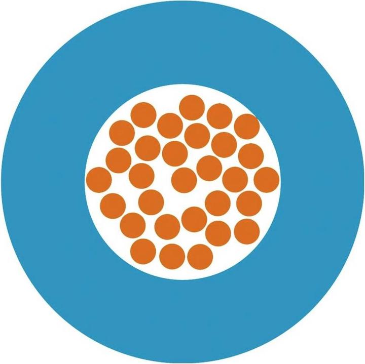 Actual product image Lapp Einzelader (200 m)