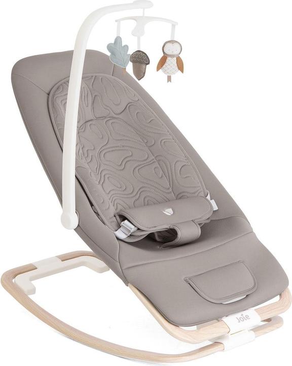 Joie Babywippe Dreamer acquista su Galaxus