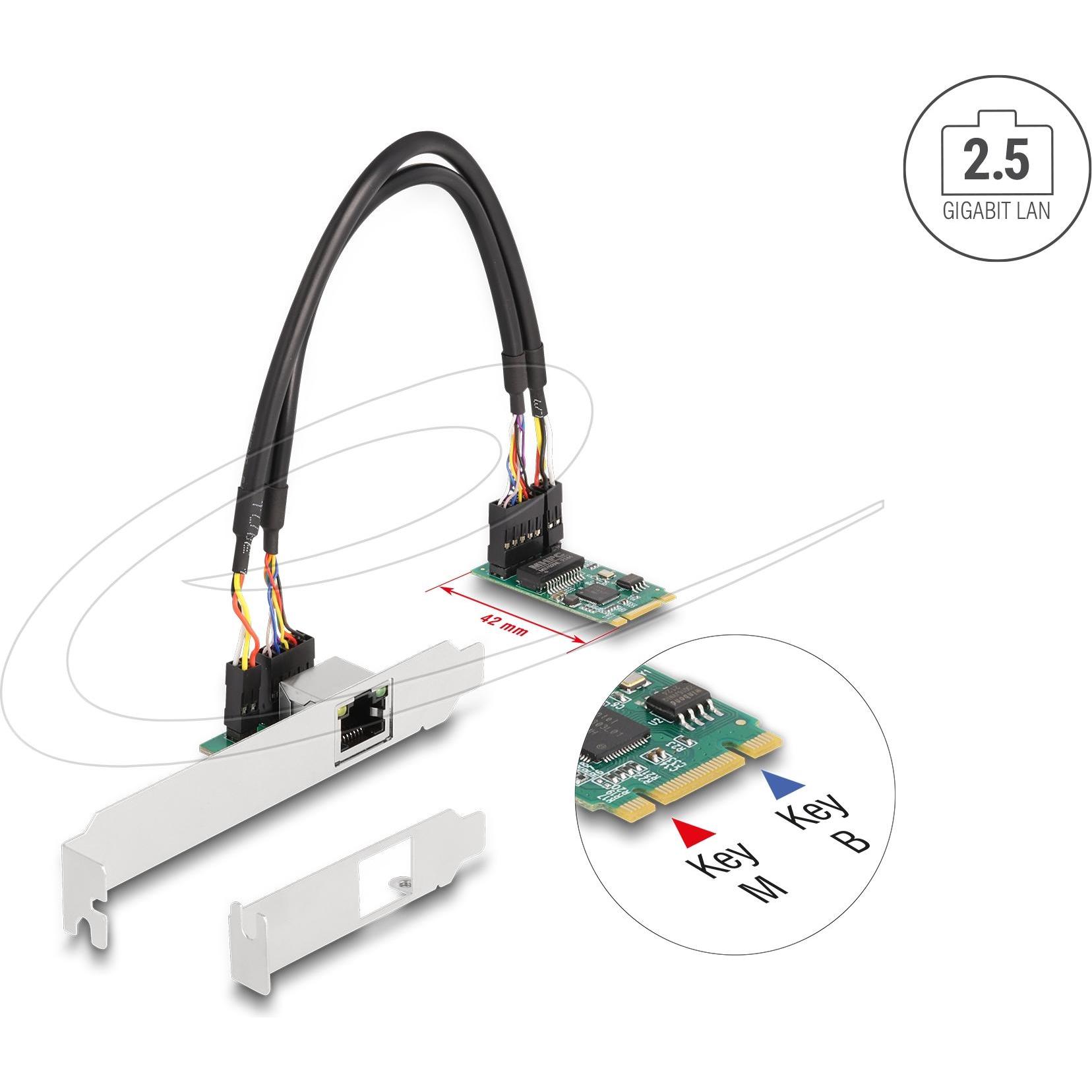 Delock Convertitore M.2 Key B+M 1 x RJ45 2.5 Gigabit LAN (M.2 Key B), Scheda di rete