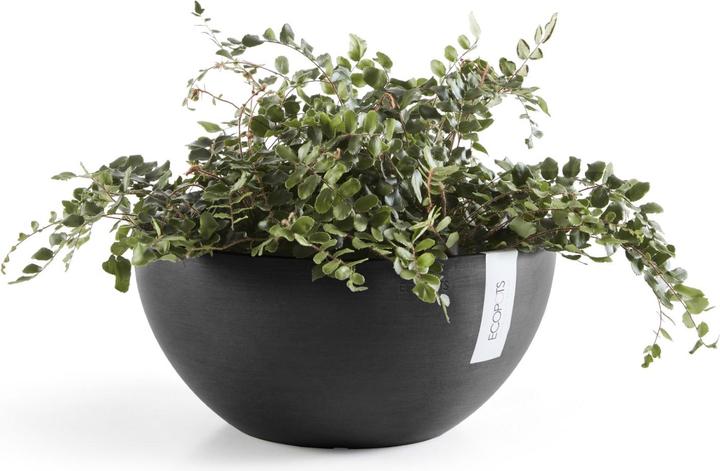Produktbild Ecopots Brussels (25 cm)