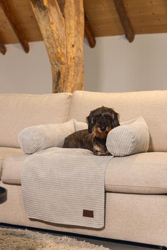 Actual product image Designed by Lotte Ribbed (Dog)