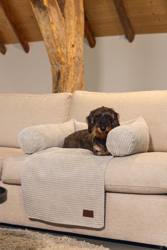 Produktbild Designed by Lotte Ribbed (Hund)
