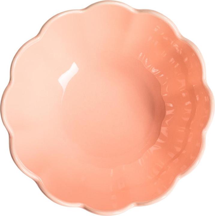Actual product image BYYU Scallop (13.50 cm)