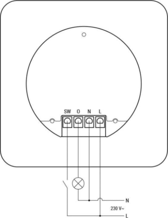 Actual product image Shelly Wall Display X2 White