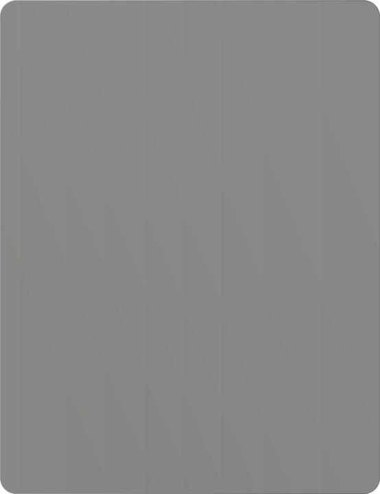 Actual product image Dipos Privacy Screen Protector 4-Way Privacy-Filter (Onyx Boox Tab X C)