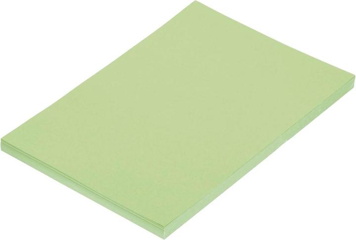 Image du produit Folia Papier tonique, DIN A4, 130 g/qm, maigrn (130 g/m², 100 x)